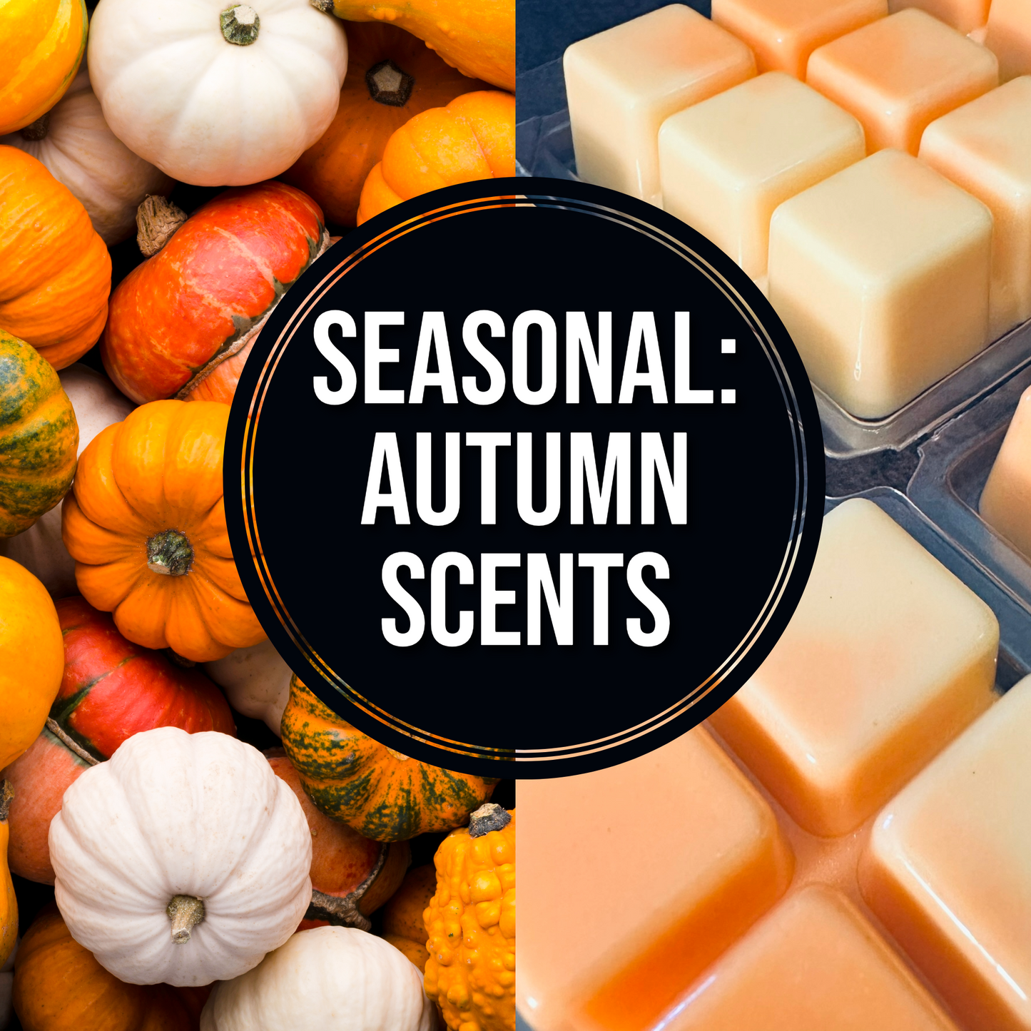 alabaster-pumpkin-made-to-order-autumn-wax-melts-pumpkin-pie-marshmallow-the-kine-collective