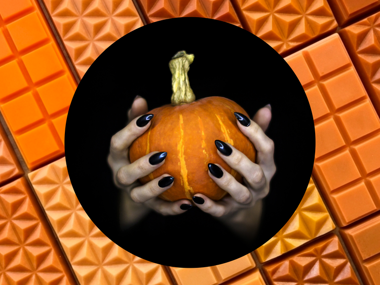 The Pumpkin Edit Limited Edition 2oz Wax Melt Snap Bars