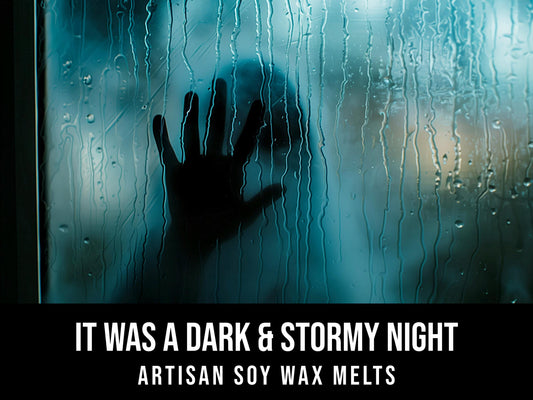 It Was A Dark And Stormy Night - Ozone, Patchouli, Petrichor 2.4oz Artisan Soy Wax Melts