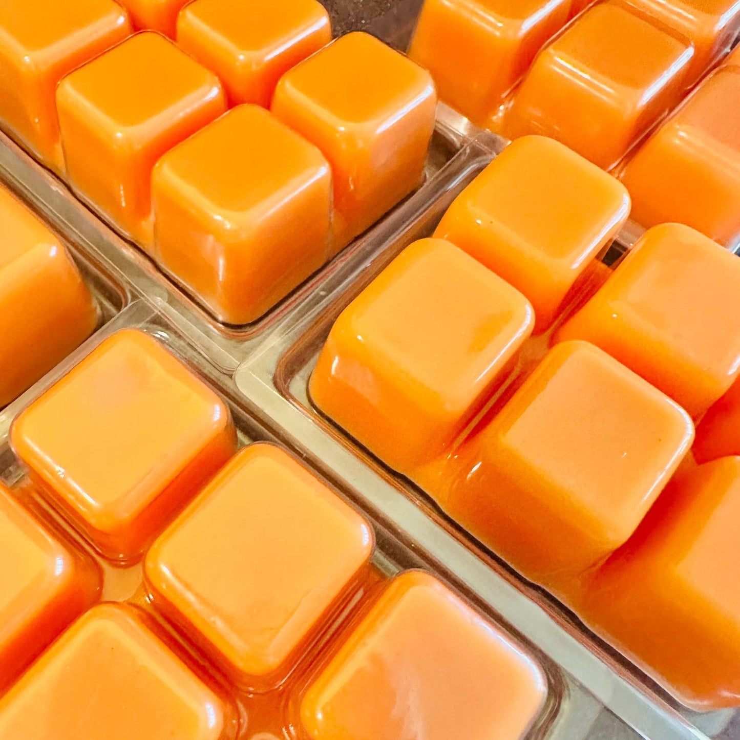 Fuck You, You Fucking Fuck - Verbena, Citrus, Driftwood 2.4oz Artisan Soy Wax Melts