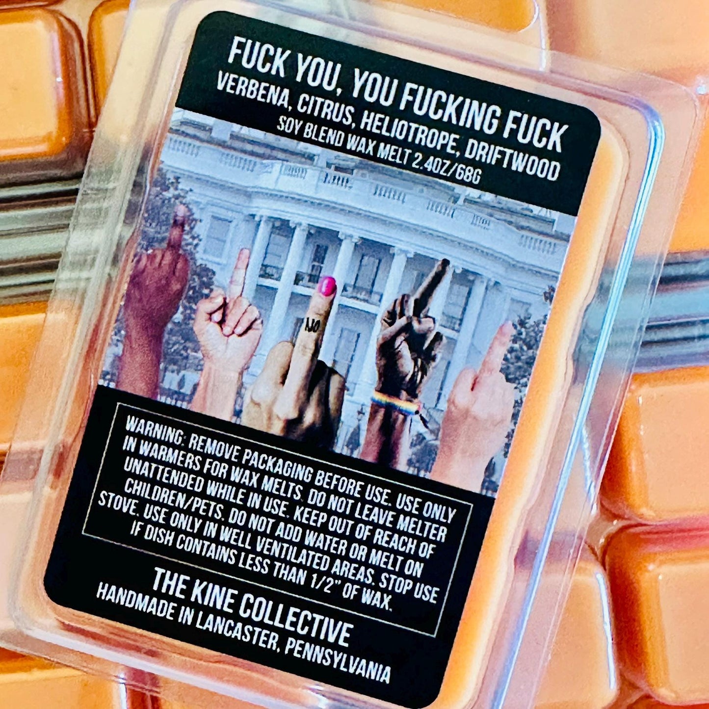 Fuck You, You Fucking Fuck - Verbena, Citrus, Driftwood 2.4oz Artisan Soy Wax Melts
