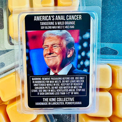America's Anal Cancer - Orange, Tangerine Essential Oil 2.4oz Artisan Soy Wax Melts