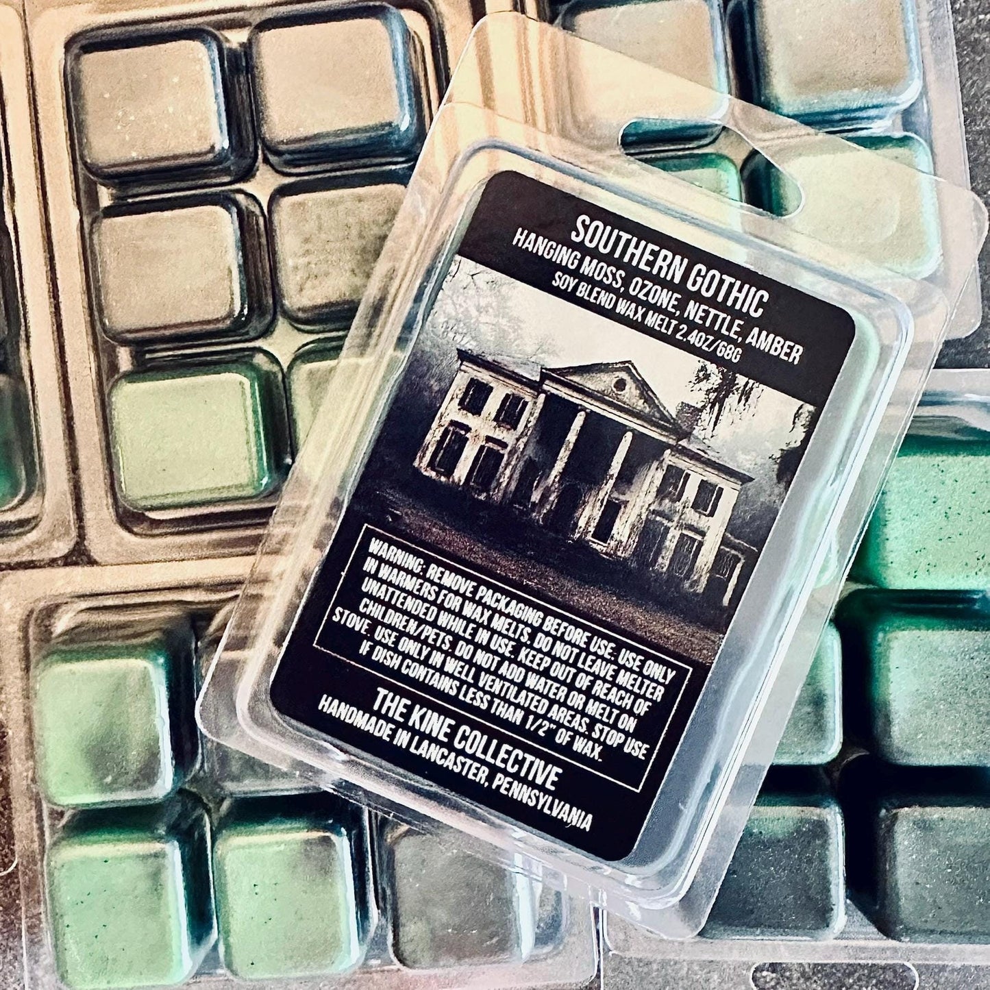 Southern Gothic - Hanging Moss, Petrichor, Amber, Nettle Leaf, Cedar 2.4oz Artisan Soy Wax Melts