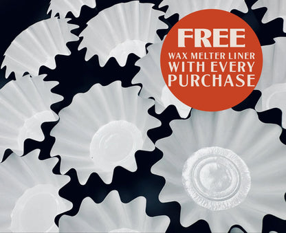 Gas Guzzler - Petrol, Gasoline, Benzene, Forbidden Electrolytes 2.4oz Artisan Soy Wax Melts