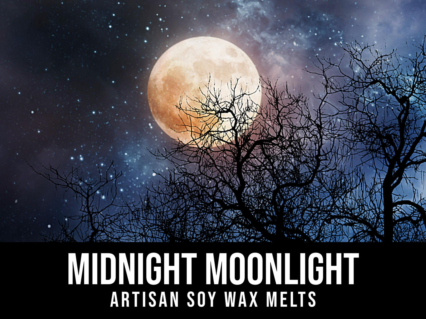 Midnight Moonlight - Sultry Amber, Vanilla Caramel 2.4oz Artisan Soy Wax Melts