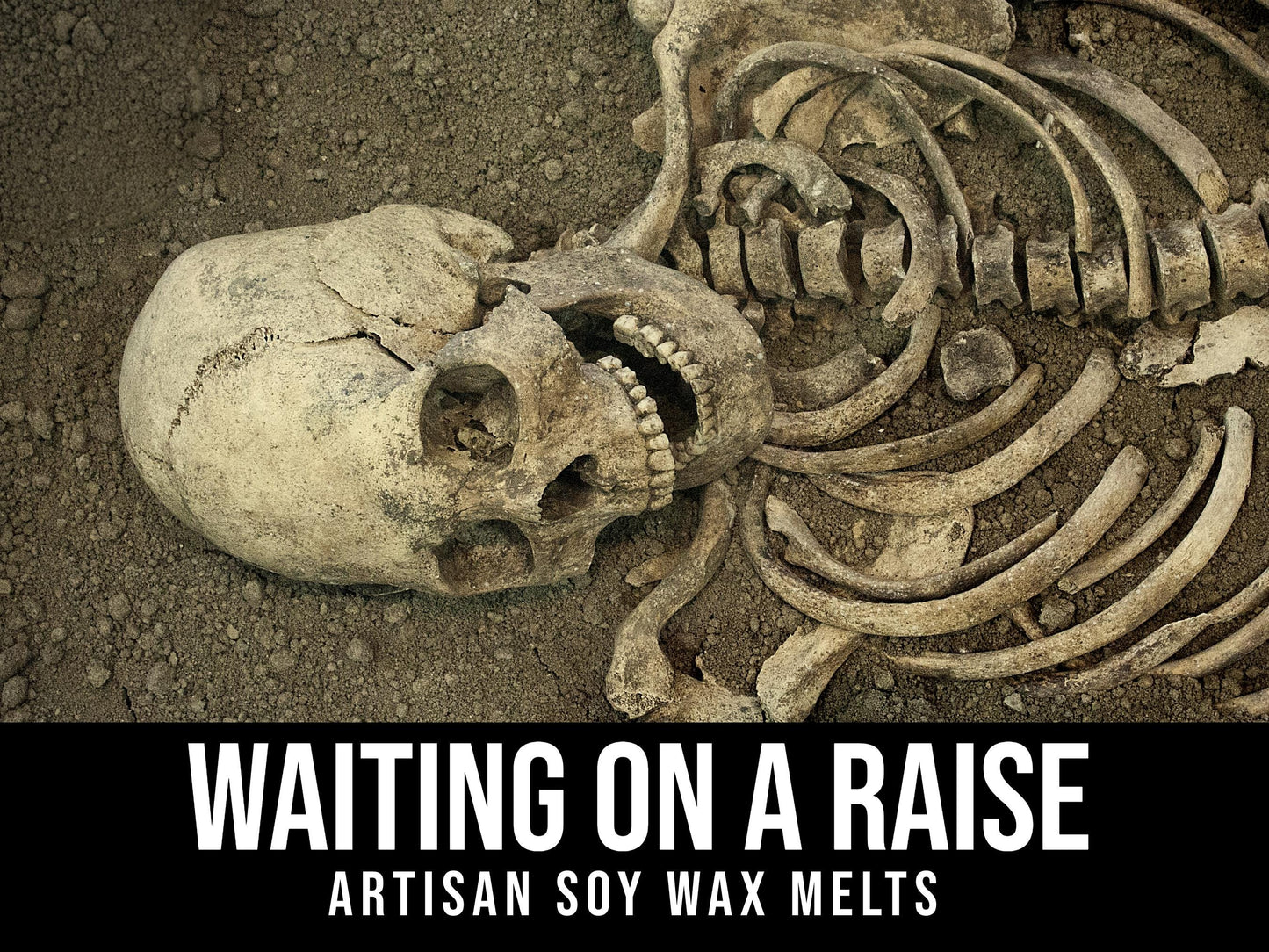 Waiting On A Raise - Black Rose, Zero Patience, Extra Loathing, Sandalwood 2.4oz Artisan Soy Wax Melts