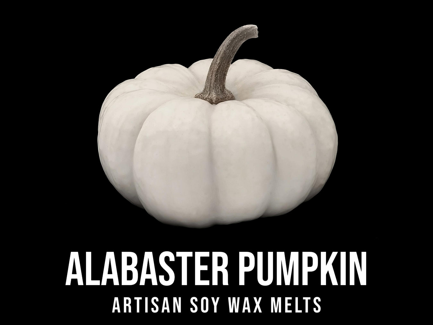 Alabaster Pumpkin - Marshmallow, Pumpkin, Caramel 2.4oz Artisan Soy Wax Melts