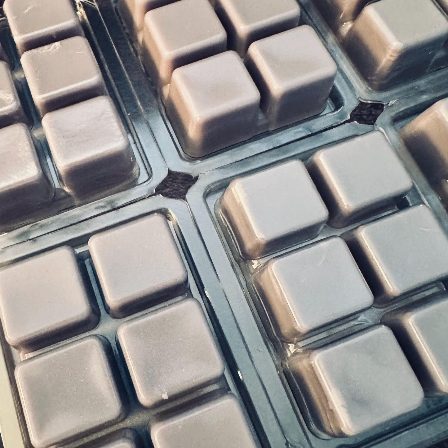 The Eldritch Closet - Fig, Raisin, Cypress, Cedar 2.4oz Artisan Soy Wax Melts