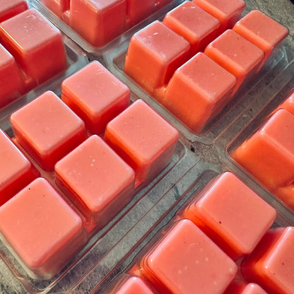 Bubble Trouble - Sweet Luscious Berry Bubblegum 2.4oz Artisan Soy Wax Melts