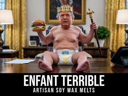 Enfant Terrible - Orange Creamscicle Scented 2.4oz Artisan Soy Wax Melts