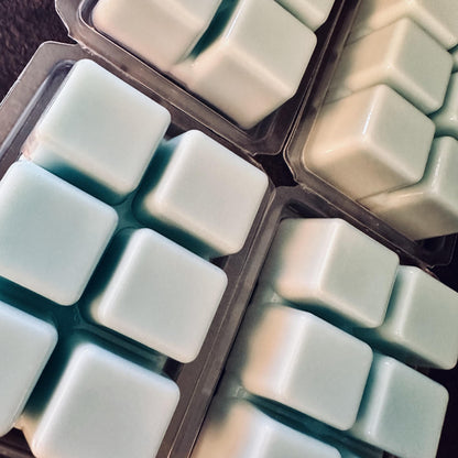 Jumpscare - Crushed Blueberries, Cinnamon Sugar, Creamy Screamy 2.4oz Artisan Soy Wax Melts