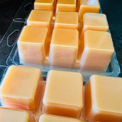 Enfant Terrible - Orange Creamscicle Scented 2.4oz Artisan Soy Wax Melts
