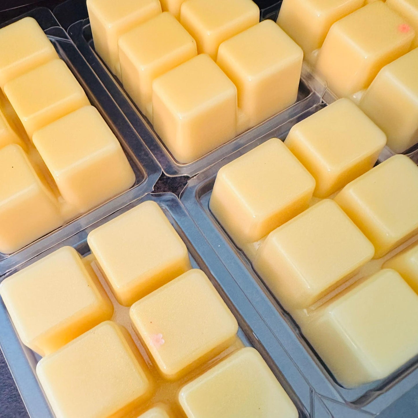 The Forever Box - Rosewood, Tonka, Black Amber Resin, Cedar 2.4oz Artisan Soy Wax Melts