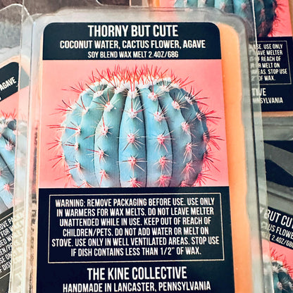 Thorny But Cute - Coconut Water, Cactus Flower, Agave, Jasmine 2.4oz Artisan Soy Wax Melts