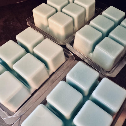 Jumpscare - Crushed Blueberries, Cinnamon Sugar, Creamy Screamy 2.4oz Artisan Soy Wax Melts