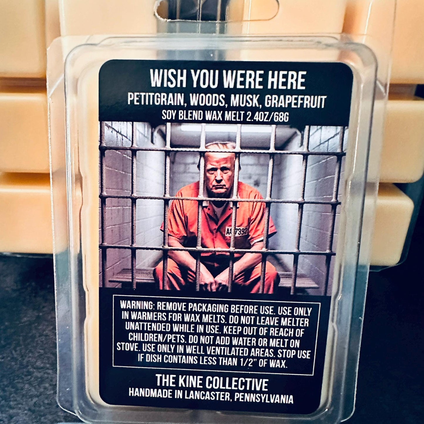 Wish You Were Here - Petitgrain, Woods, Musk, Grapefruit 2.4oz Artisan Soy Wax Melts