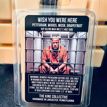 Wish You Were Here - Petitgrain, Woods, Musk, Grapefruit 2.4oz Artisan Soy Wax Melts