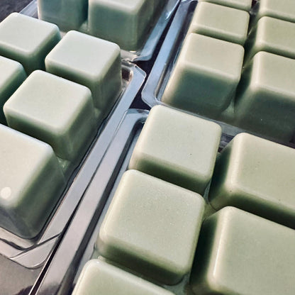 Sleepy Hollow Cemetery - Tombstone Moss, Night Mist, Earthy 2.4oz Artisan Soy Wax Melts