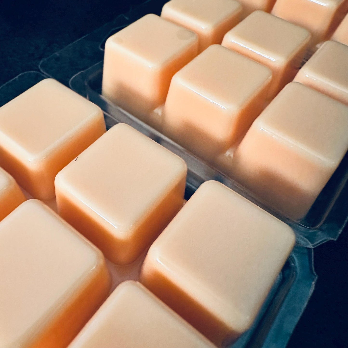 Skibidi Toilet - Apple, Orange, Clove, Cinnamon 2.4oz Artisan Soy Wax Melts
