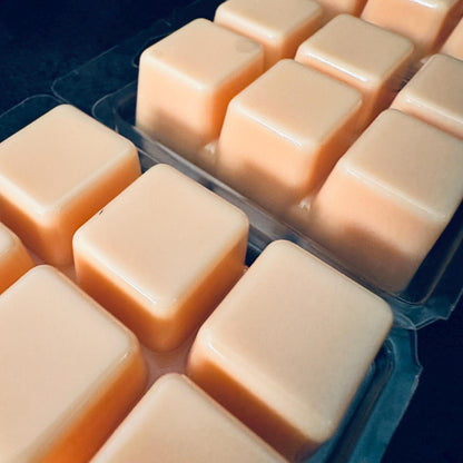 Skibidi Toilet - Apple, Orange, Clove, Cinnamon 2.4oz Artisan Soy Wax Melts
