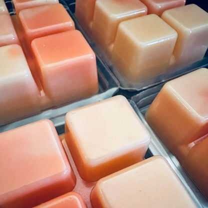 Summerween - Coconut, Pumpkin, Caramel, Tonka Bean 2.4oz Artisan Soy Wax Melts