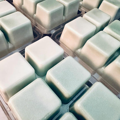 Thalassophobia - Sea Salt, Peppercorn, Kelp, Patchouli 2.4oz Artisan Soy Wax Melts