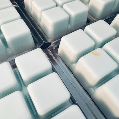 Live, Laugh, Toaster Bath - Violet, Herbal, Sparky Clean 2.4oz Artisan Soy Wax Melts