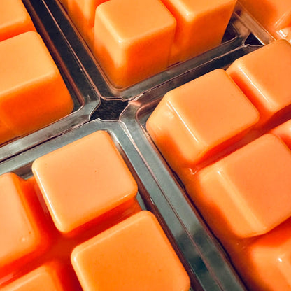 Rock Lobster -  Salty Driftwood, Warm Amber Sand 2.4oz Artisan Soy Wax Melts