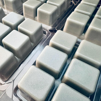 City Juice - Rain Accord, Lemon Zest, Concrete, Leather  2.4oz Artisan Soy Wax Melts