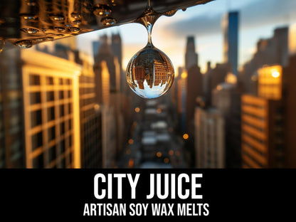 City Juice - Rain Accord, Lemon Zest, Concrete, Leather  2.4oz Artisan Soy Wax Melts