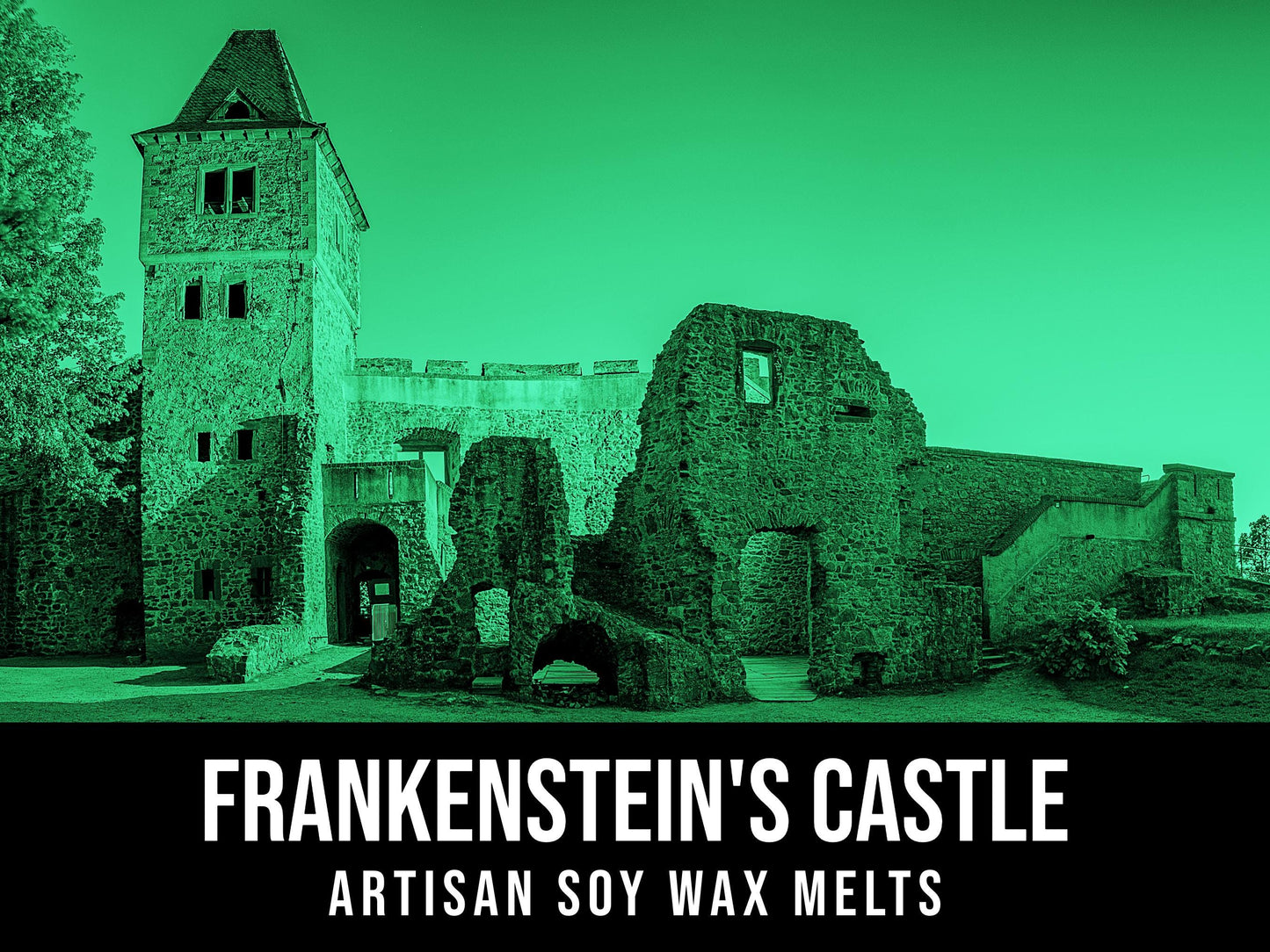Frankensetin's Castle - Ozone, Jolting Mint, Patchouli, Forest Floor 2.4oz Artisan Soy Wax Melts