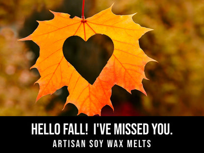 Hello Fall!  I've Missed You. - Pumpkin Spice, Honey, Tobacco, Anise, Oud 2.4oz Artisan Soy Wax Melts