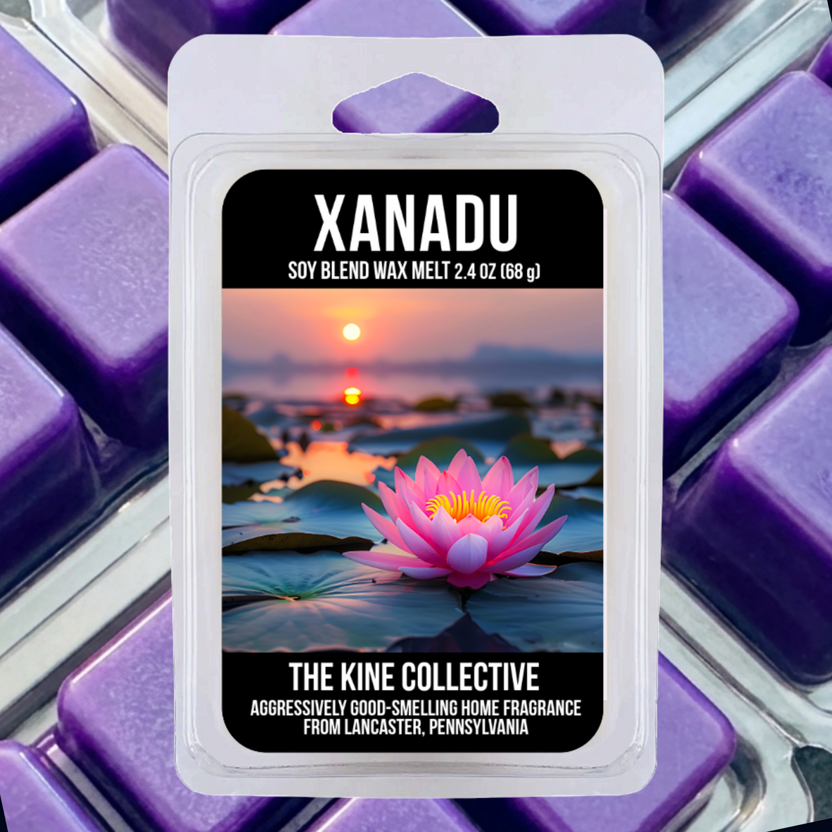 Xanadu 2.4oz Cubed Wax Melts from The Kine Collective